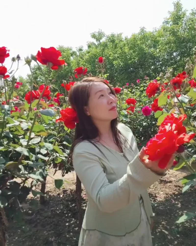 泄火老娘们