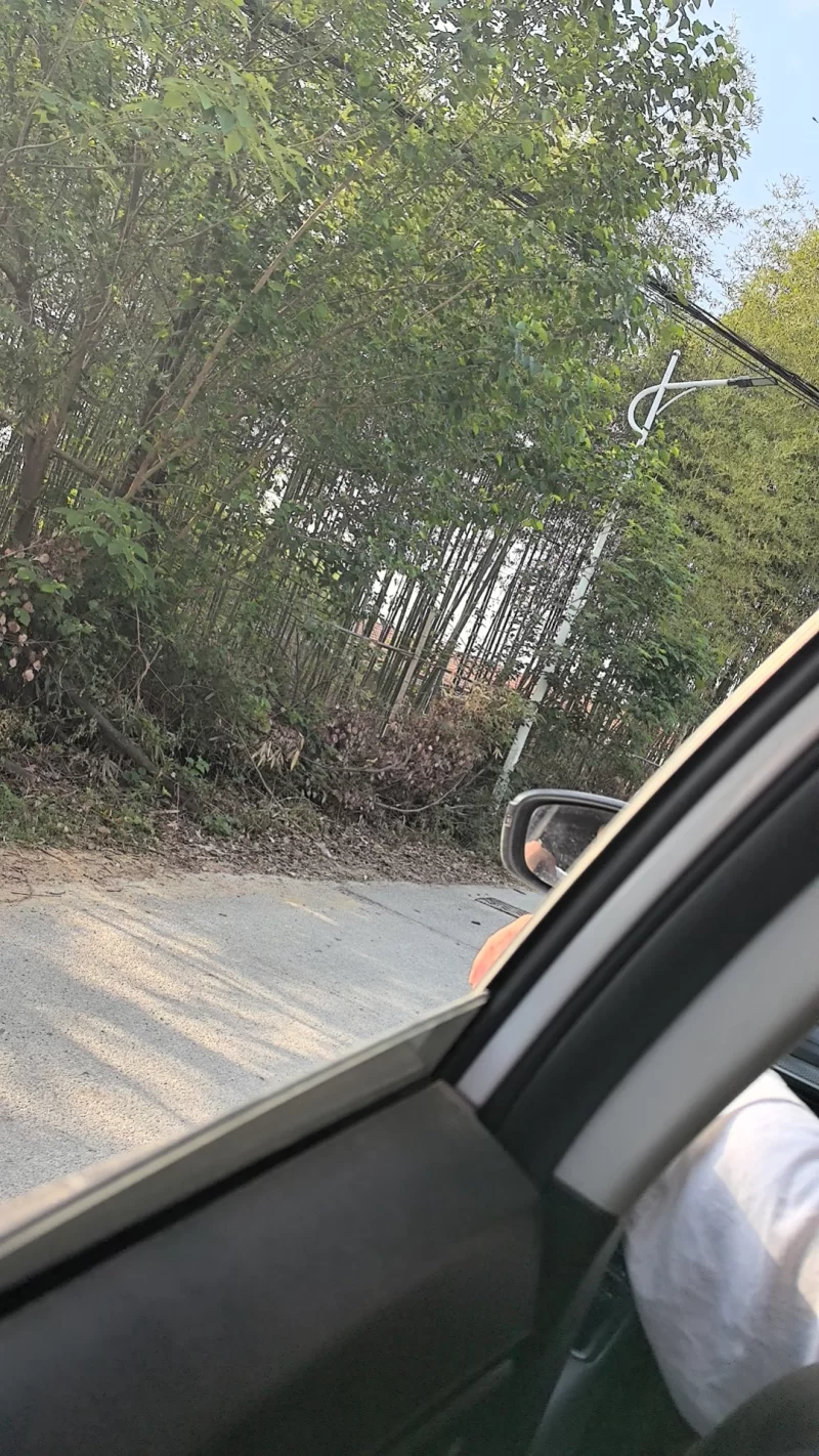 武汉找伪娘tscd,带健康证。基本每周都能合作。