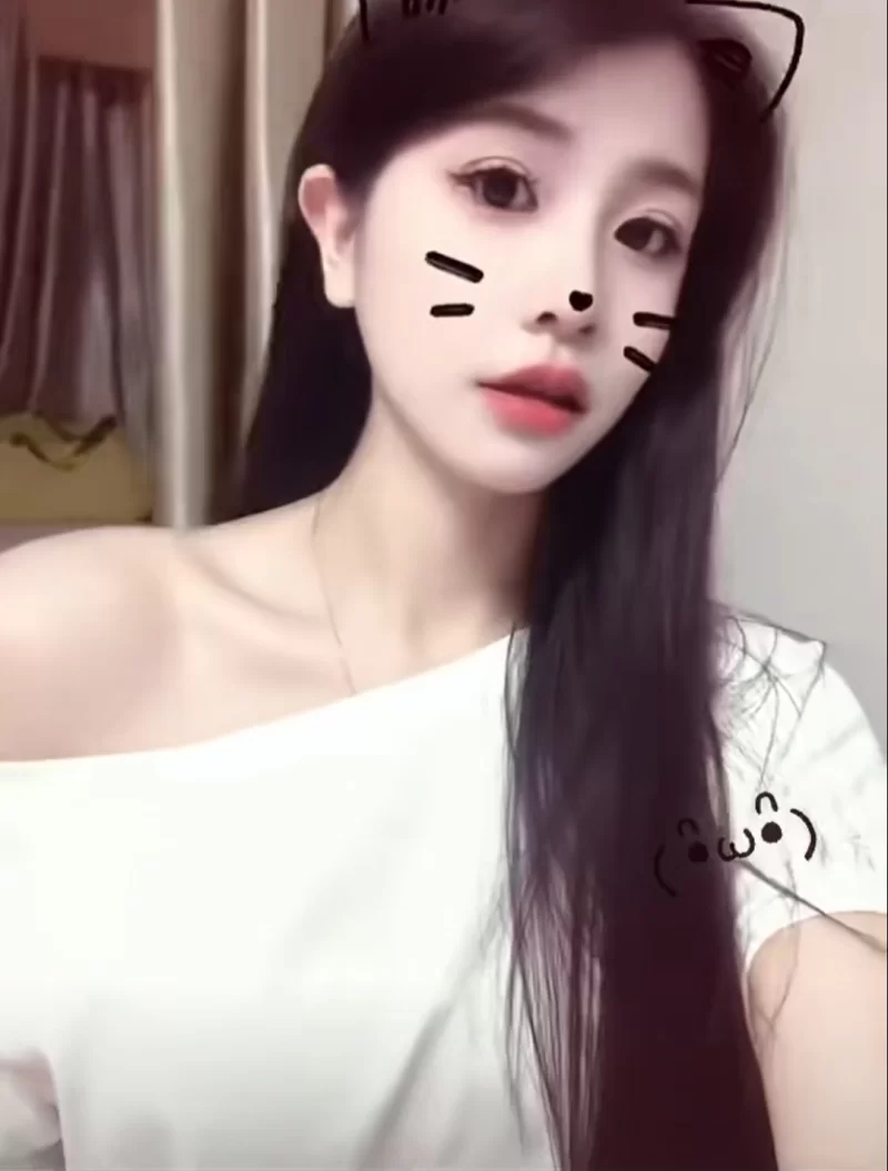 东莞性价比推荐一波