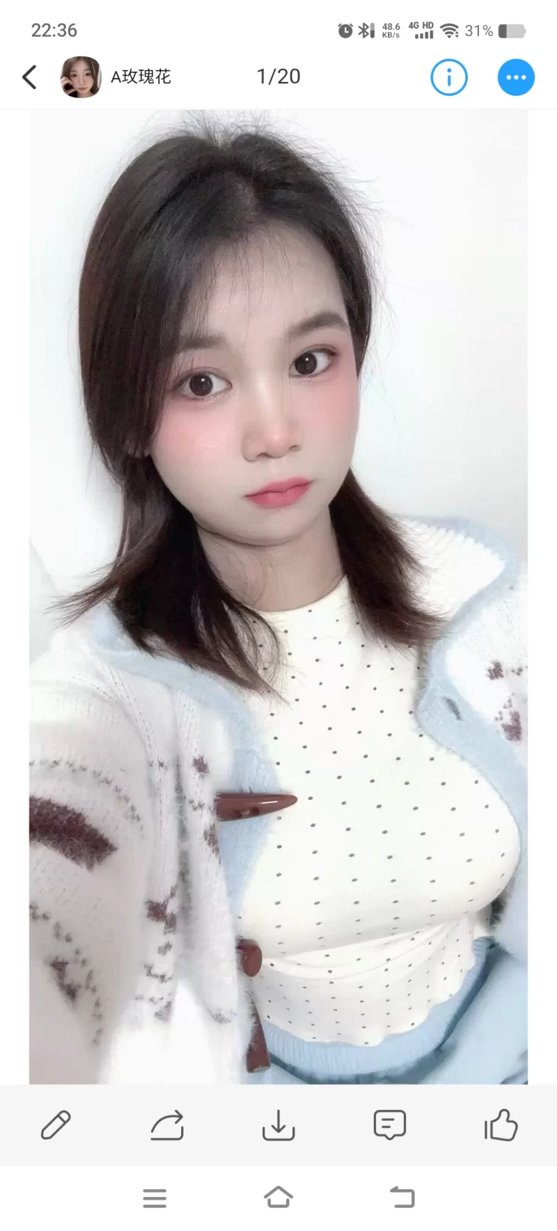 长安玫瑰花花