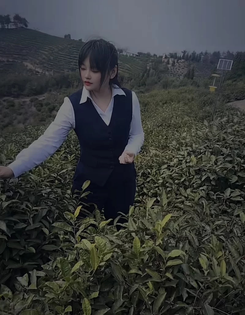 信阳市区熟女